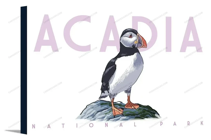 Acadia National Park - Puffin - White Background  Matte Canvas - Wall Art Decor