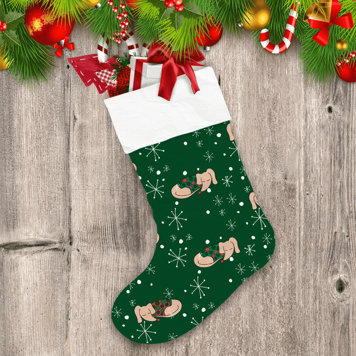Christmas Dachshund Dog In Sweater On Green Christmas Stocking