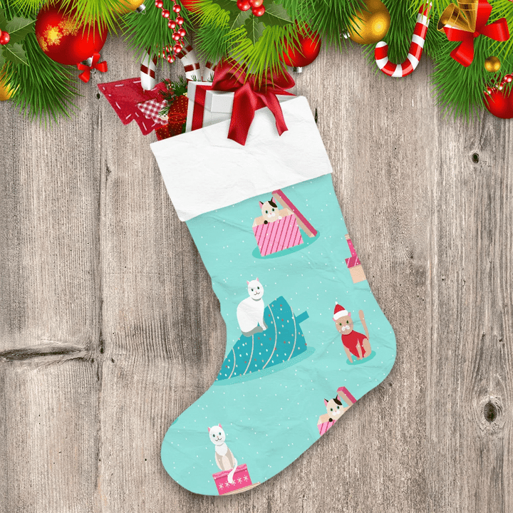 Theme Christmas Background With Naughty Cats Christmas Stocking