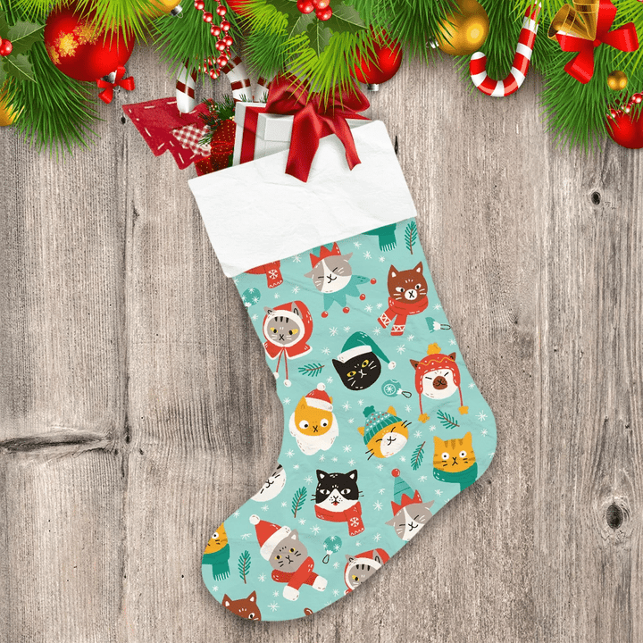 Adorable Cats Wearing Colorful Christmas Outfits Christmas Stocking