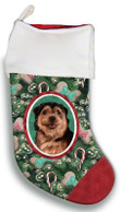 Love Canine Christmas Gift Christmas Stocking Candy Cane Norfolk Terrier