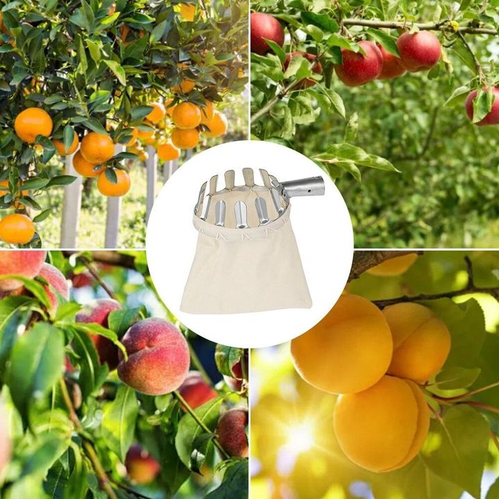 Fruit Picker Head Basket 🔥AUTUMN SALE 50% OFF🔥