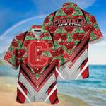 Cornell Big Red NCAA3-Summer Hawaii Shirt And Shorts For Sports Fans This Season NA33293 -TP