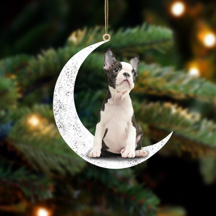 Boston 2-Sit On The Moon-Two Sided Ornament