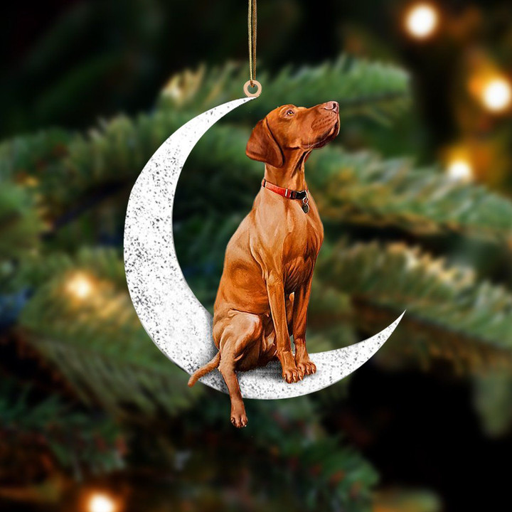 Vizsla-Sit On The Moon-Two Sided Ornament