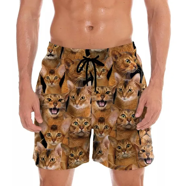 You Will Have A Bunch Of Abyssinian Cats - Shorts V1