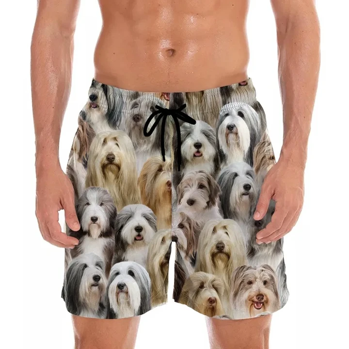 You Will Have A Bunch Of Bearded Collies - Shorts V1