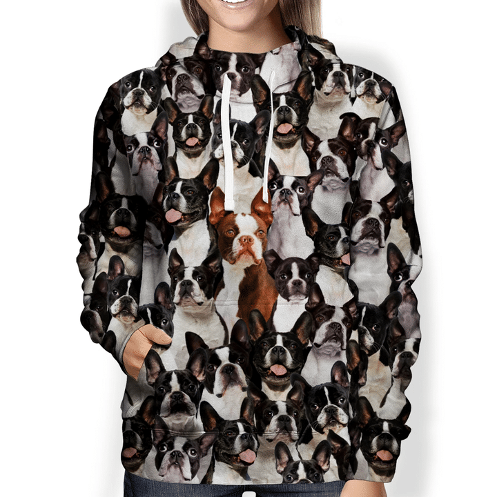 You Will Have A Bunch Of Boston Terriers - Hoodie V1