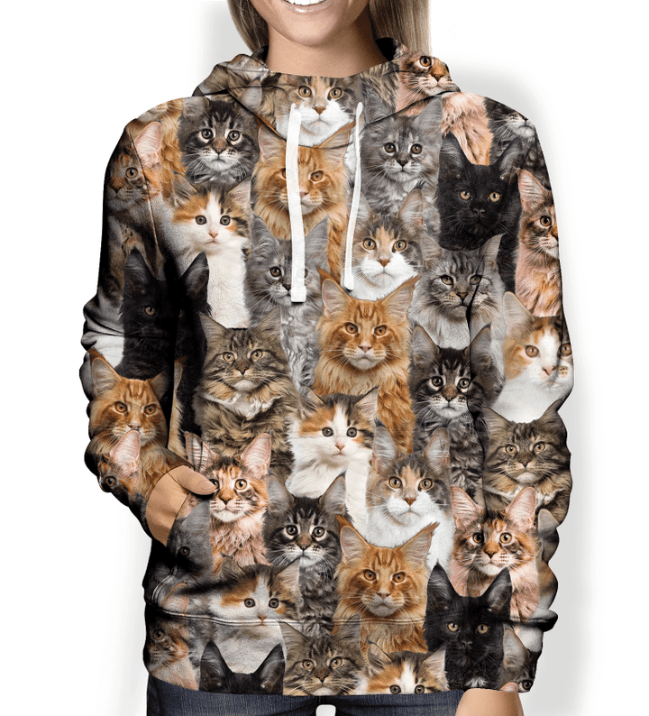You Will Have A Bunch Of Maine Coon Cats - Hoodie V1