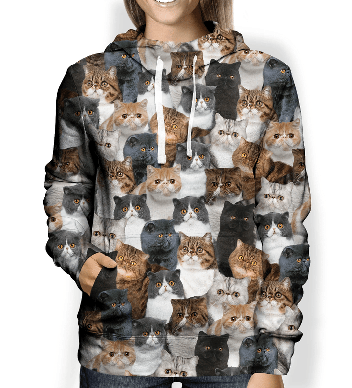 You Will Have A Bunch Of Exotic Cats - Hoodie V1