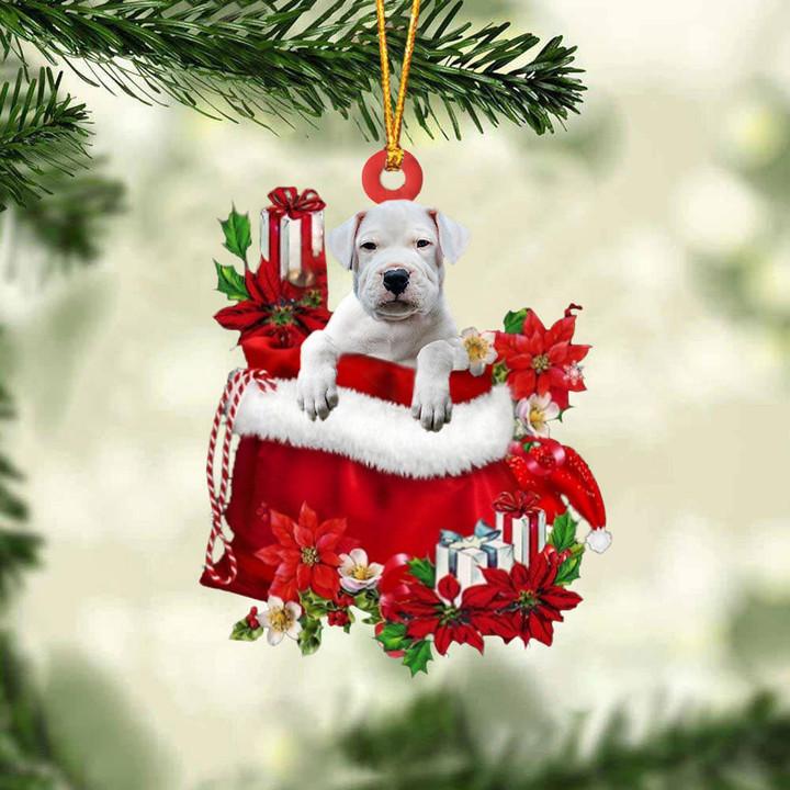 Dogo Argentino In Gift Bag Christmas Ornament