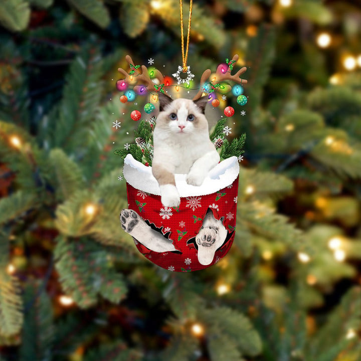 Ragdoll In Snow Pocket Christmas Ornament
