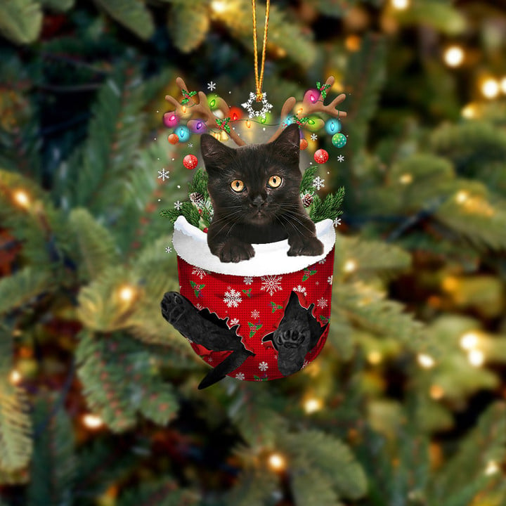 Cat 44 In Snow Pocket Christmas Ornament