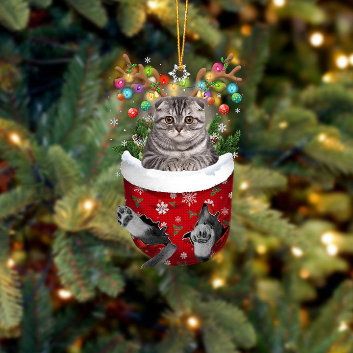 Cat 5 In Snow Pocket Christmas Ornament