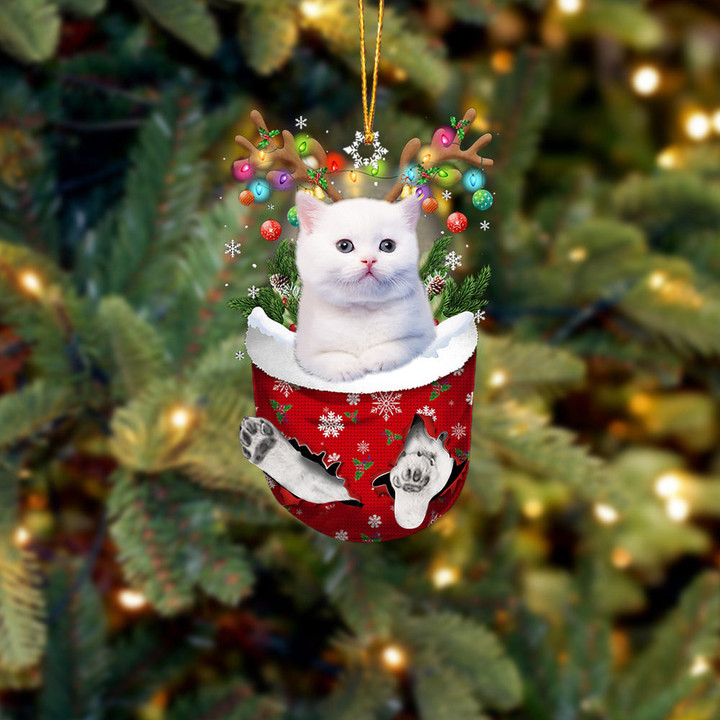 Cat 4 In Snow Pocket Christmas Ornament