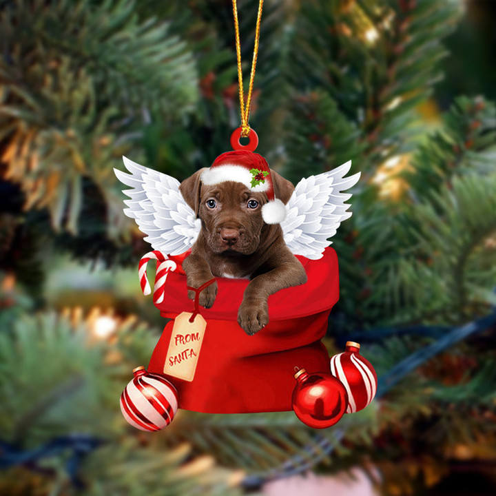 Pitbull 2 Angel Gift From Santa Christmas Ornament