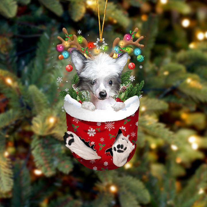 Chinese Crested Dog 1 In Snow Pocket Christmas Ornament