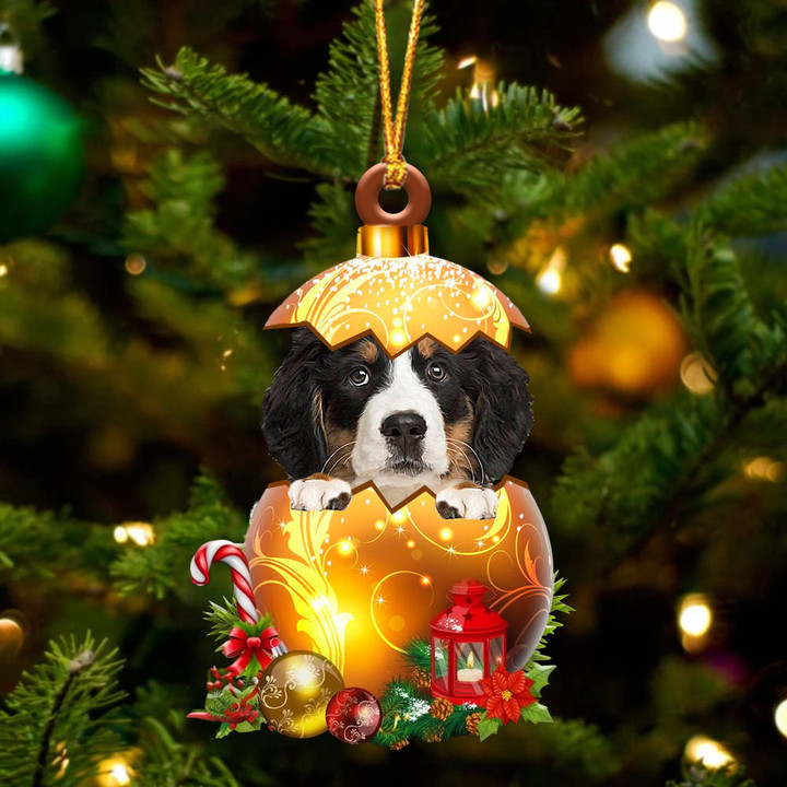 Bernese Mountain Dog In Golden Egg Christmas Ornament