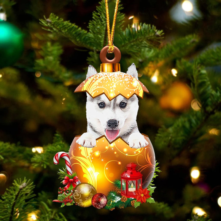 Husky In Golden Egg Christmas Ornament