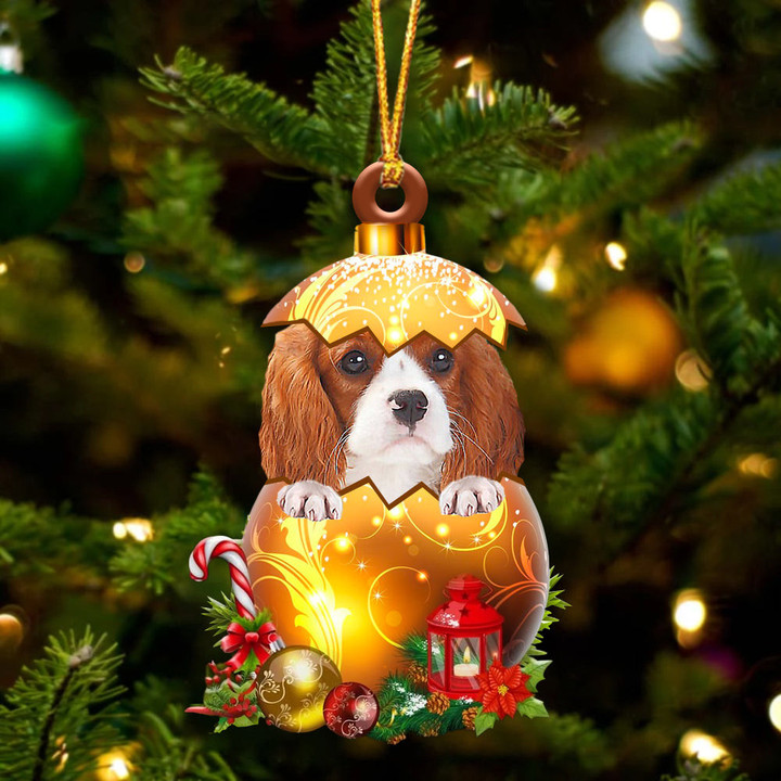 Cavalier King Charles Spaniel In Golden Egg Christmas Ornament