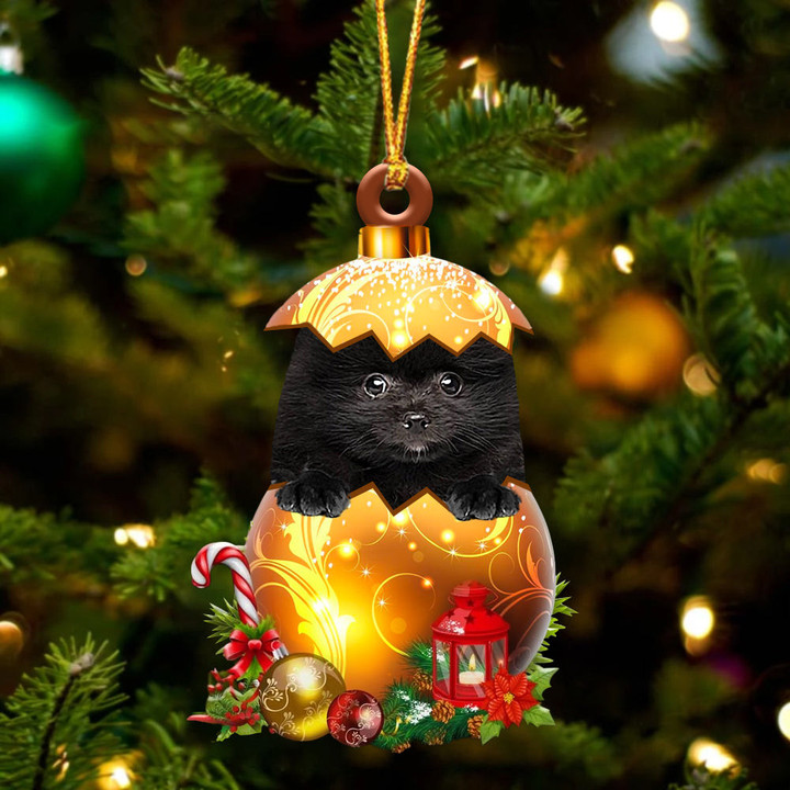 BLACK Pomeranian In Golden Egg Christmas Ornament