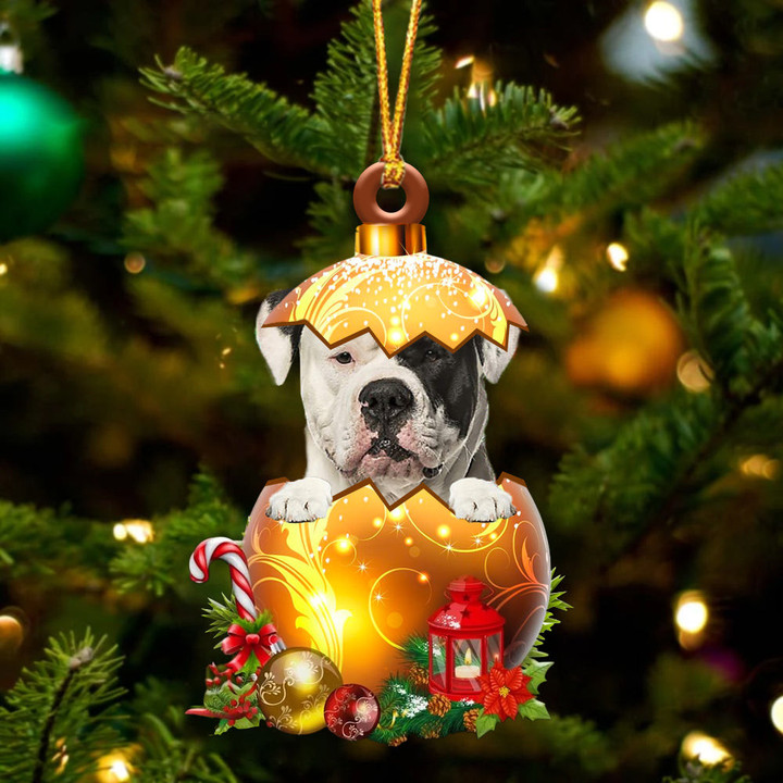 American Bulldog In Golden Egg Christmas Ornament