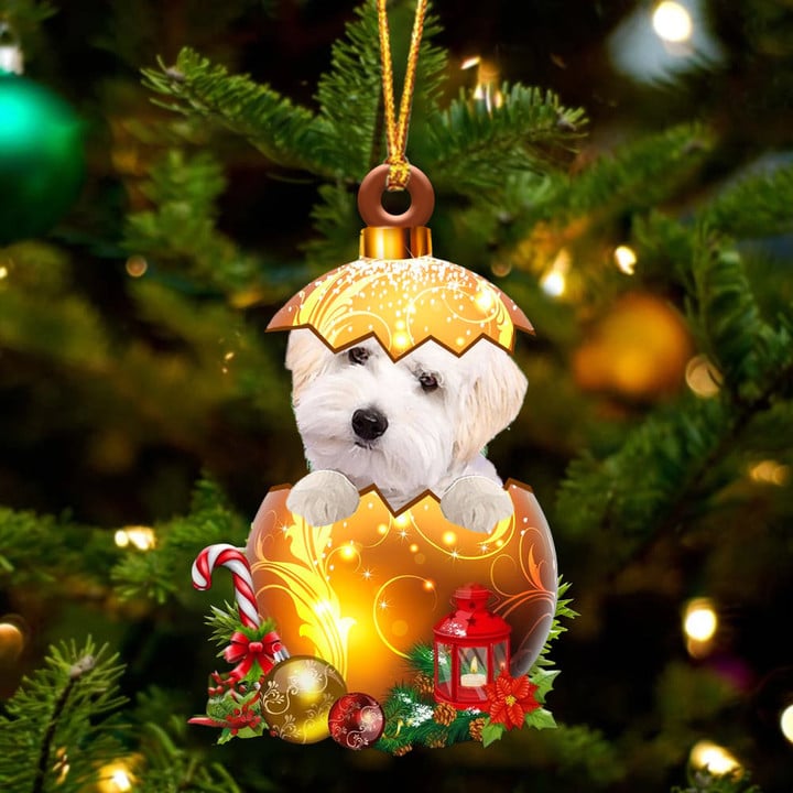WHITE Maltipoo In Golden Egg Christmas Ornament
