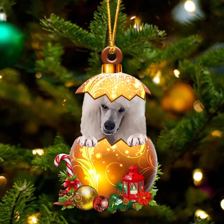 WHITE Standard Poodle In Golden Egg Christmas Ornament