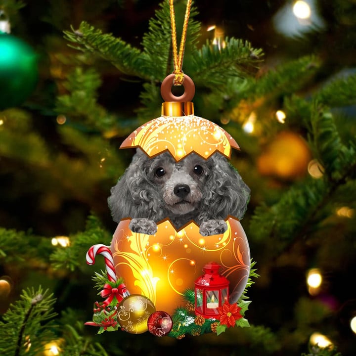 SILVER Miniature Poodle In Golden Egg Christmas Ornament