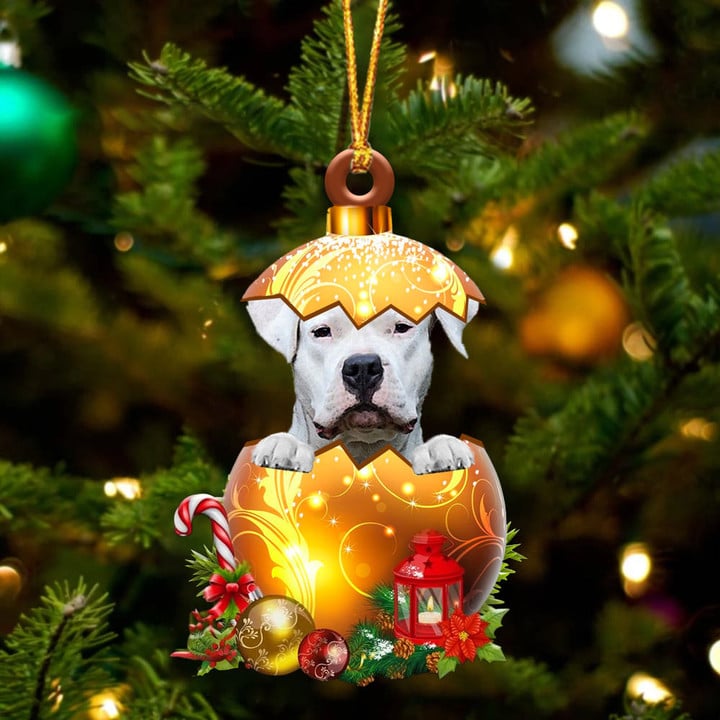 Dogo Argentino In Golden Egg Christmas Ornament