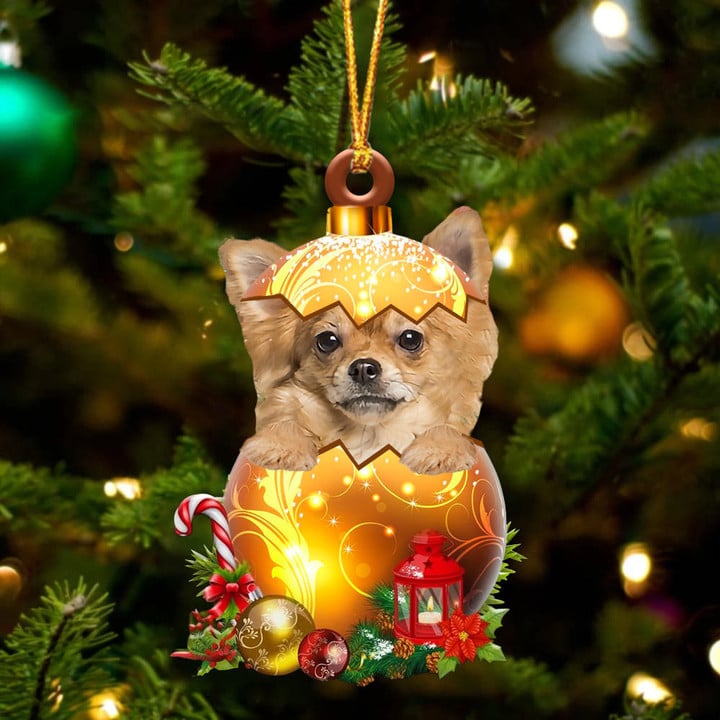 Long haired Tan Chihuahua. In Golden Egg Christmas Ornament