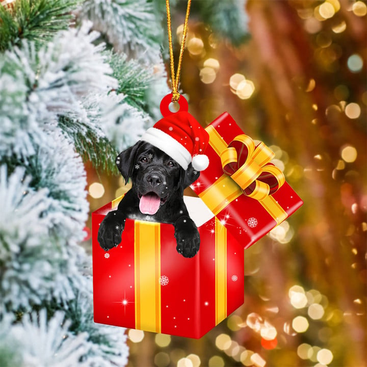 Labrador Retriever 2 In Red Gift Box Christmas Ornament
