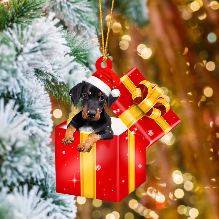 Doberman In Red Gift Box Christmas Ornament