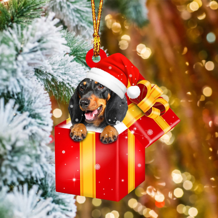 dachshund... In Red Gift Box Christmas Ornament