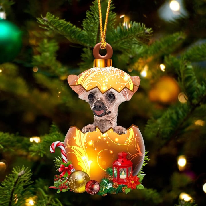 Chinese Crested Dog In Golden Egg Christmas Ornament