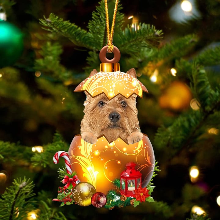 Australian Terrier In Golden Egg Christmas Ornament