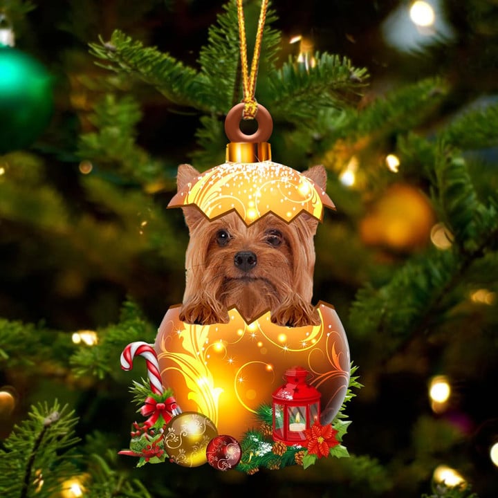 Silky Terrier In Golden Egg Christmas Ornament