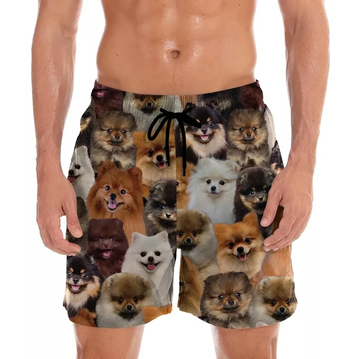 You Will Have A Bunch Of Pomeranians - Shorts V1