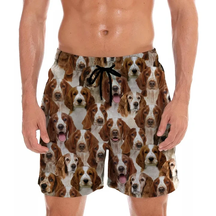 You Will Have A Bunch Of Welsh Springer Spaniels - Shorts V1