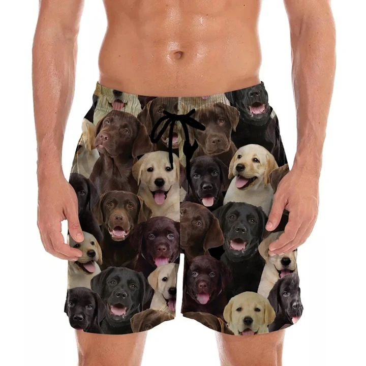 You Will Have A Bunch Of Labradors - Shorts V1