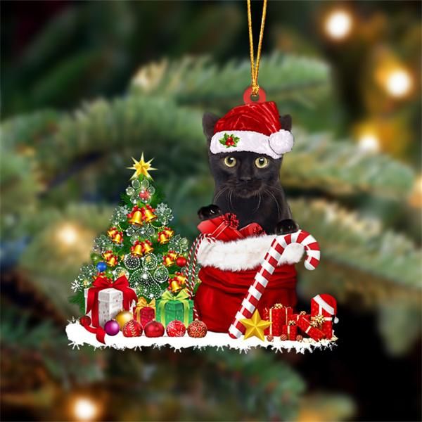 Black Cat Snow Bag Dog Christmas Ornament