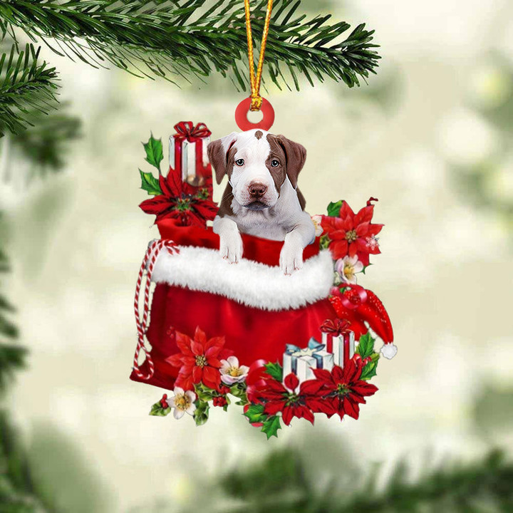 Pitbull2 In Gift Bag Christmas Ornament