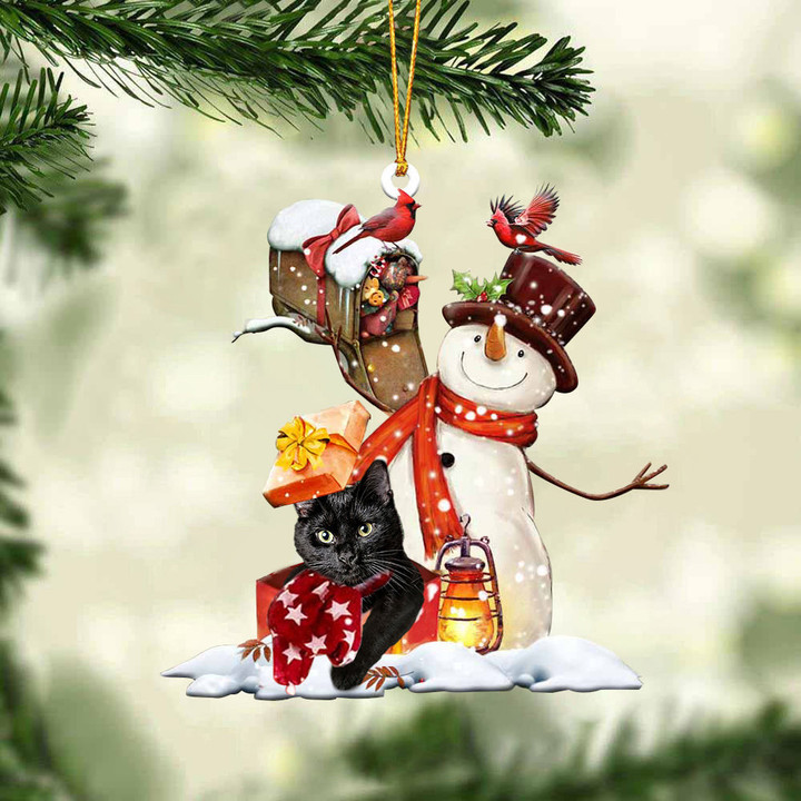Black Cat In Mailbox Gift Christmas Ornament
