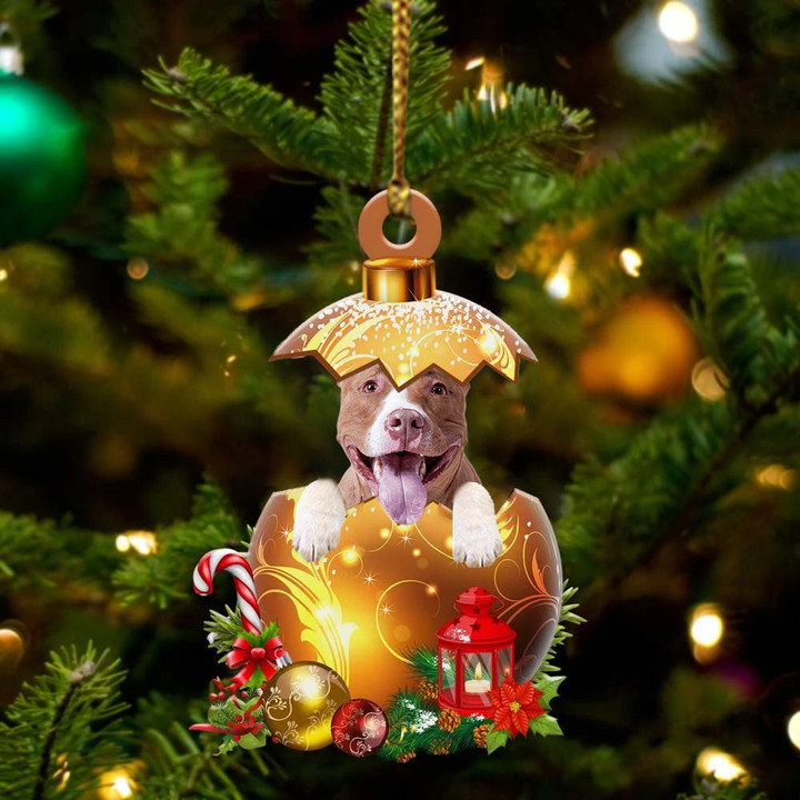Pitbull In Golden Egg Christmas Ornament