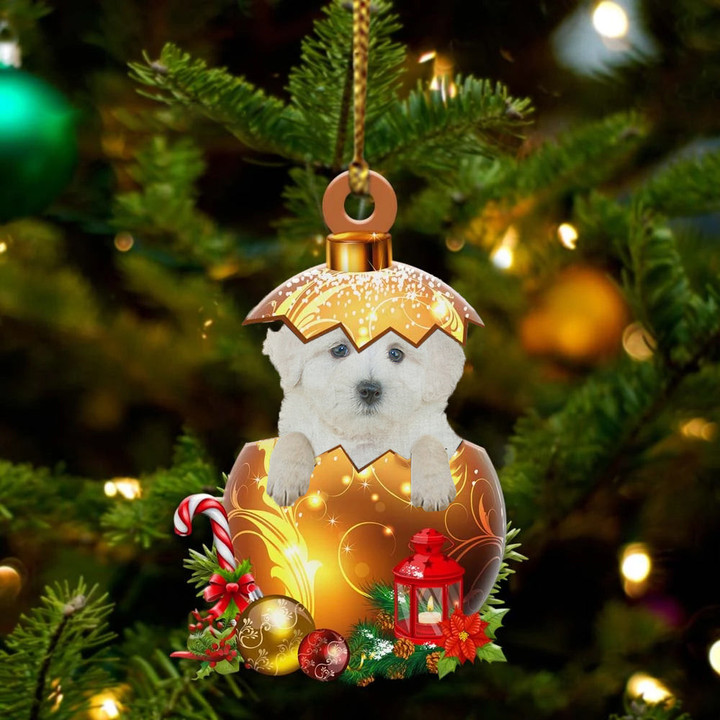 Maltipoo In Golden Egg Christmas Ornament