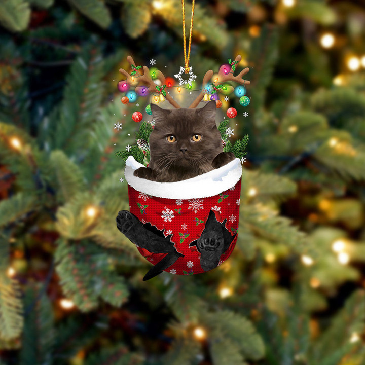 Cat 3 In Snow Pocket Christmas Ornament