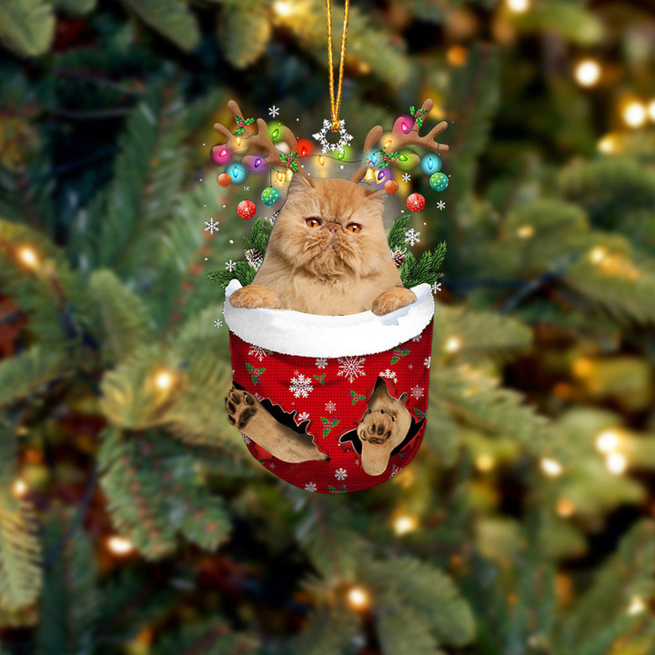 Cat 1 In Snow Pocket Christmas Ornament
