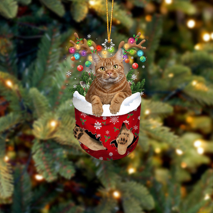 Cat 15 In Snow Pocket Christmas Ornament