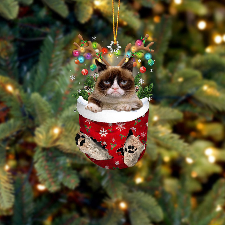 Cat Grumpy In Snow Pocket Christmas Ornament