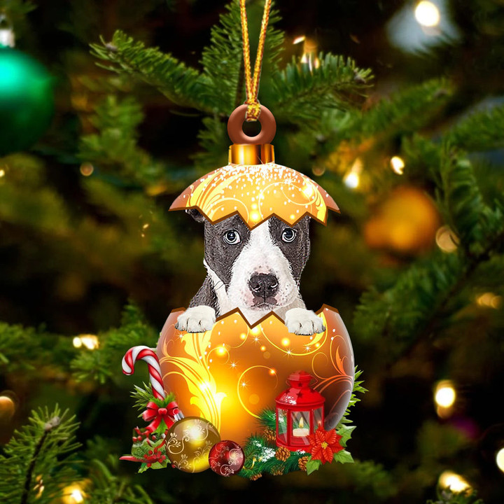 Pitbull In Golden Egg Christmas Ornament